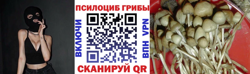 Купить закладки  Коломна  Галлюциногенные грибы GOLDEN TEACHER